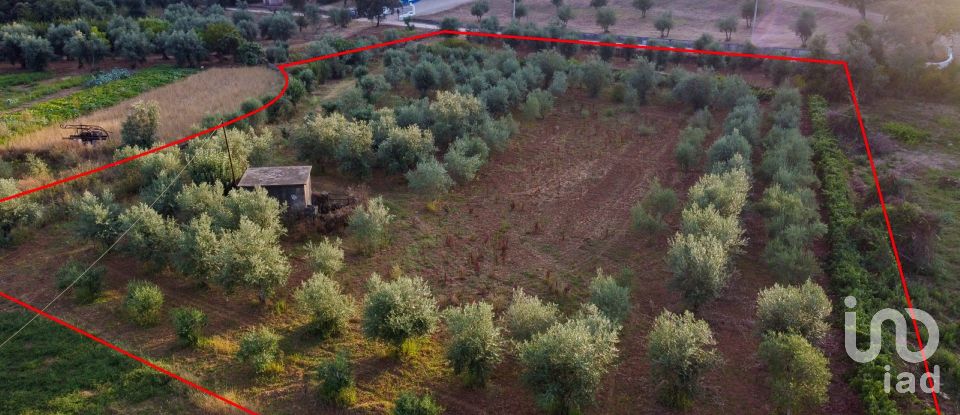 Terreno em Areias e Pias de 4 160 m²