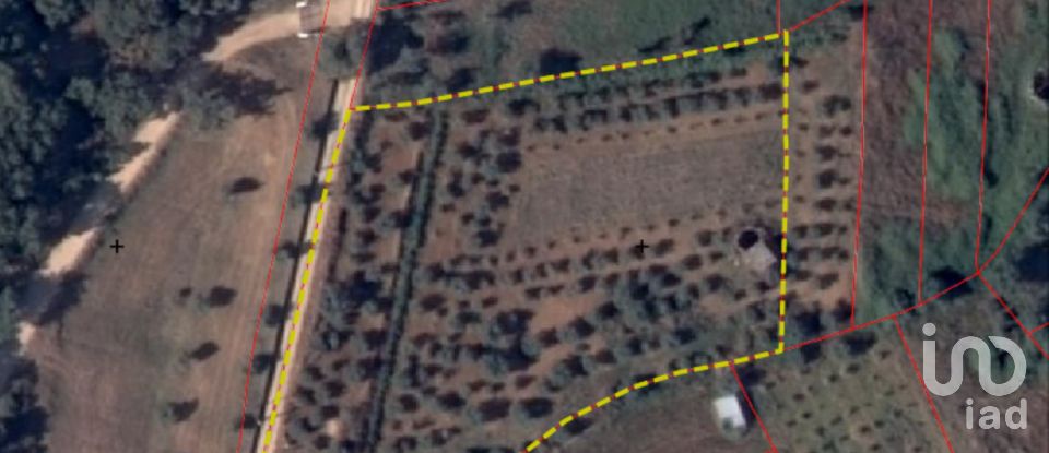 Terreno em Areias e Pias de 4 160 m²