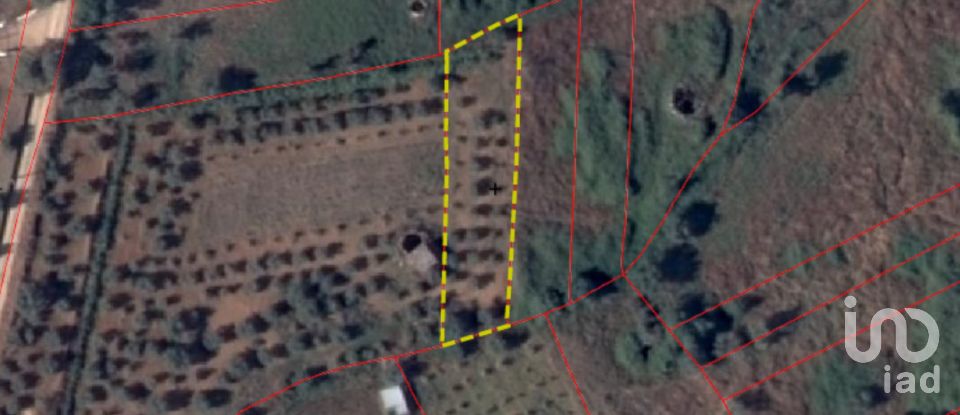 Terreno em Areias e Pias de 4 160 m²