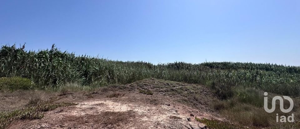 Land in Ferrel of 5,600 m²