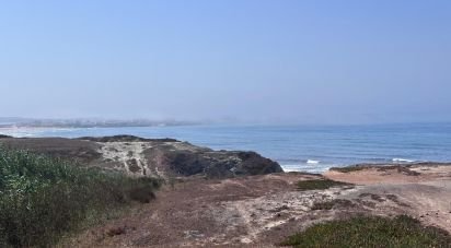 Terrain à Ferrel de 5 600 m²