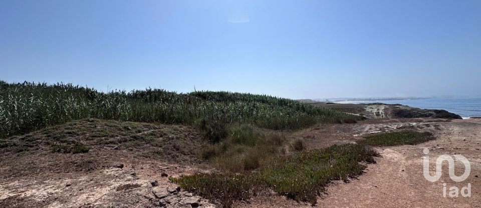 Land in Ferrel of 5,600 m²