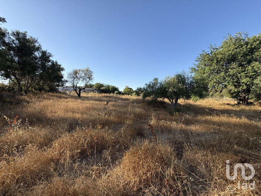Building plot in Santa Bárbara de Nexe of 3,280 m²