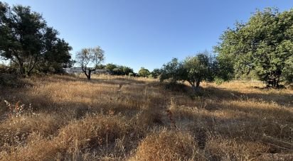Terrain à bâtir à Santa Bárbara de Nexe de 3 280 m²