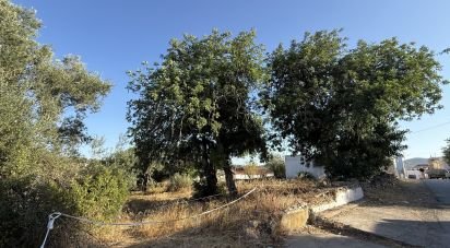 Terrain à bâtir à Santa Bárbara de Nexe de 3 280 m²