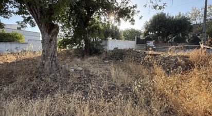 Terrain à bâtir à Santa Bárbara de Nexe de 3 280 m²