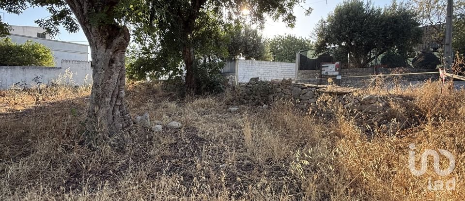 Building plot in Santa Bárbara de Nexe of 3,280 m²