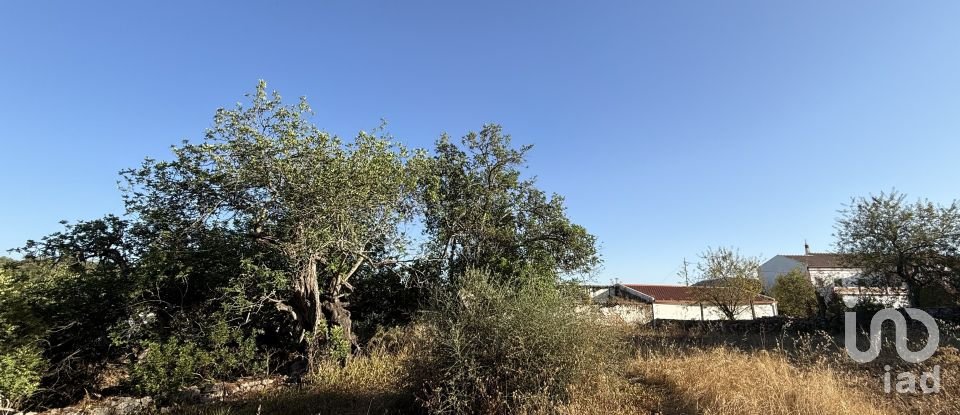 Building plot in Santa Bárbara de Nexe of 3,280 m²