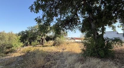 Terrain à bâtir à Santa Bárbara de Nexe de 3 280 m²
