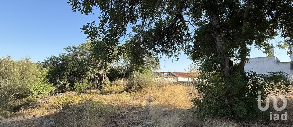 Building plot in Santa Bárbara de Nexe of 3,280 m²