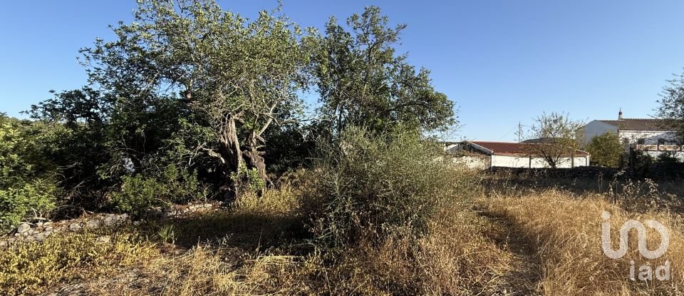 Building plot in Santa Bárbara de Nexe of 3,280 m²