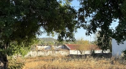 Terrain à bâtir à Santa Bárbara de Nexe de 3 280 m²