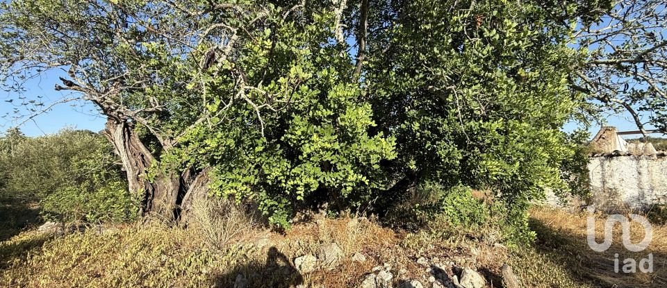 Building plot in Santa Bárbara de Nexe of 3,280 m²