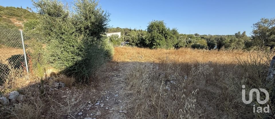 Building plot in Santa Bárbara de Nexe of 3,280 m²