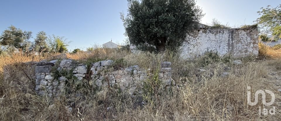Building plot in Santa Bárbara de Nexe of 3,280 m²