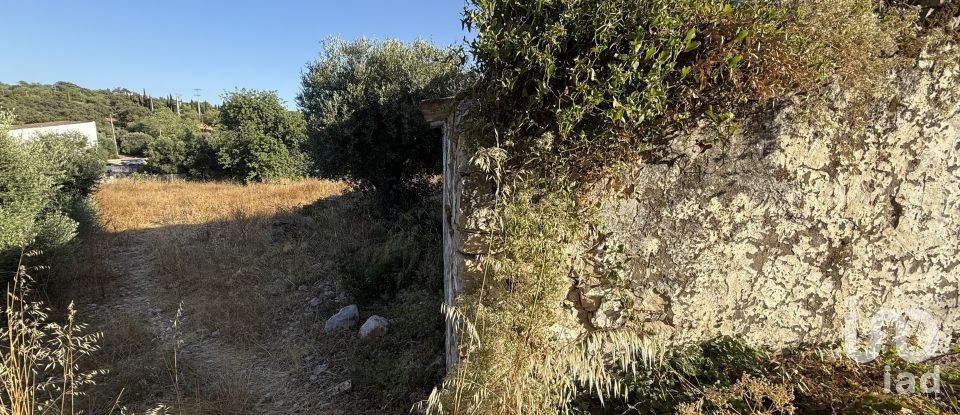 Building plot in Santa Bárbara de Nexe of 3,280 m²