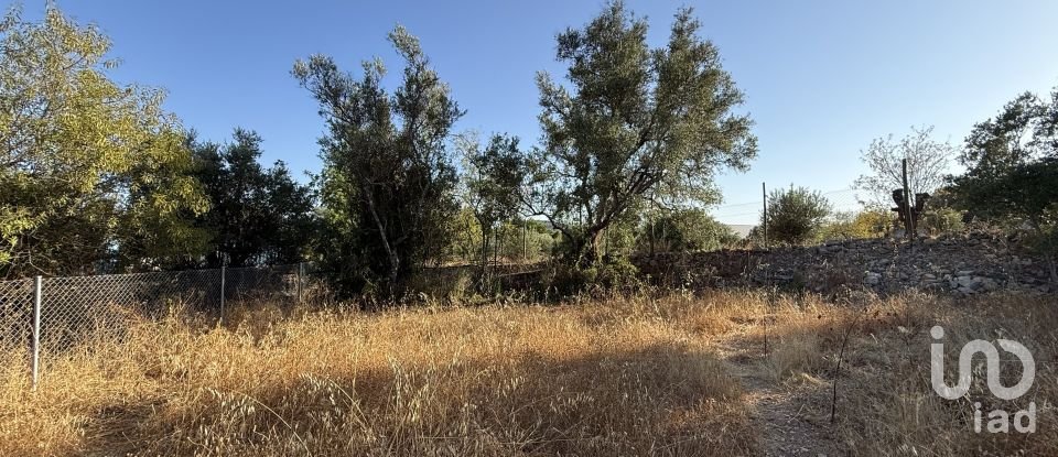 Building plot in Santa Bárbara de Nexe of 3,280 m²