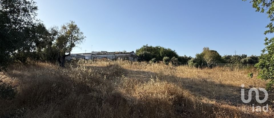 Building plot in Santa Bárbara de Nexe of 3,280 m²