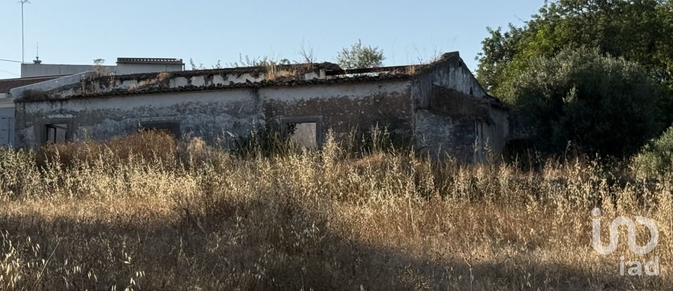 Building plot in Santa Bárbara de Nexe of 3,280 m²