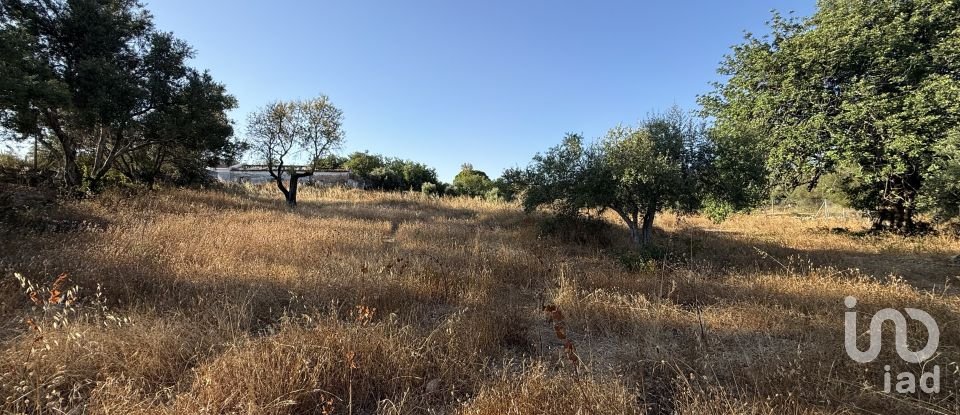 Building plot in Santa Bárbara de Nexe of 3,280 m²
