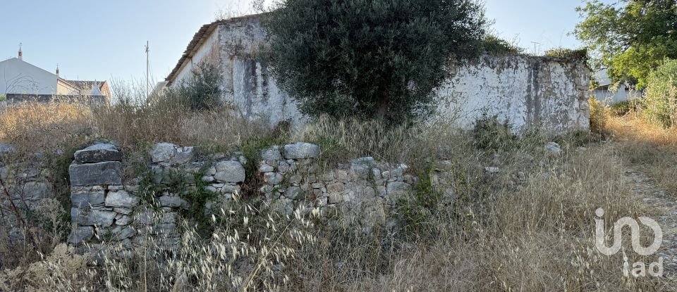 Building plot in Santa Bárbara de Nexe of 3,280 m²