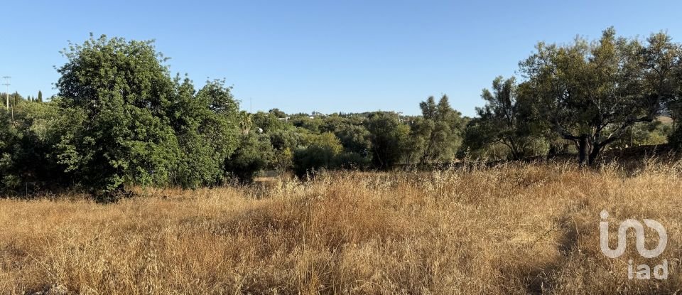 Building plot in Santa Bárbara de Nexe of 3,280 m²