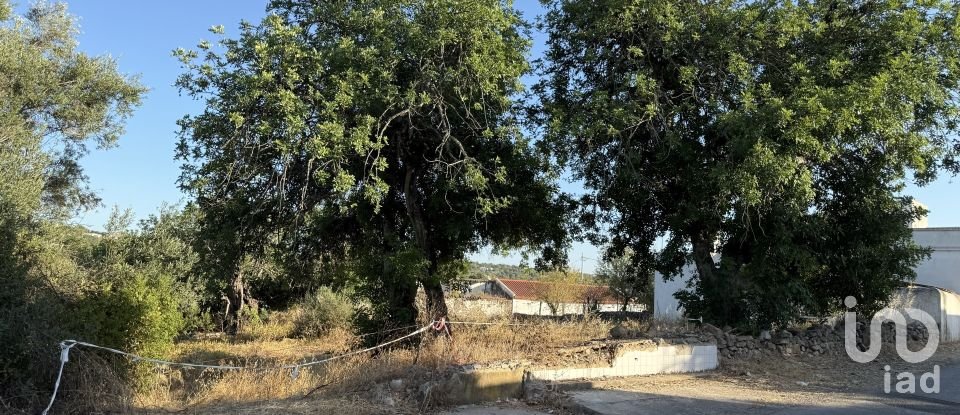 Building plot in Santa Bárbara de Nexe of 3,280 m²