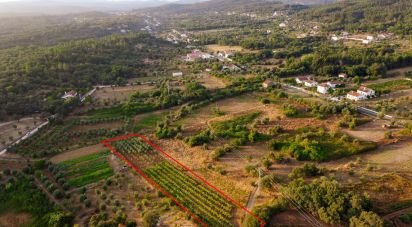 Terrain à Areias e Pias de 3 000 m²