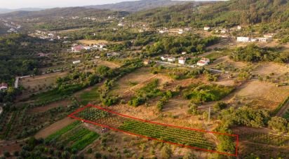 Terrain à Areias e Pias de 3 000 m²