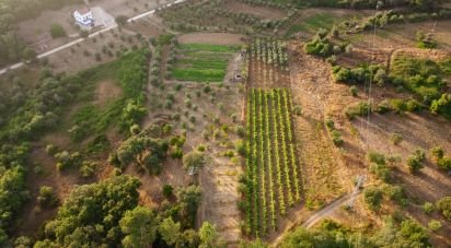 Terrain à Areias e Pias de 3 000 m²