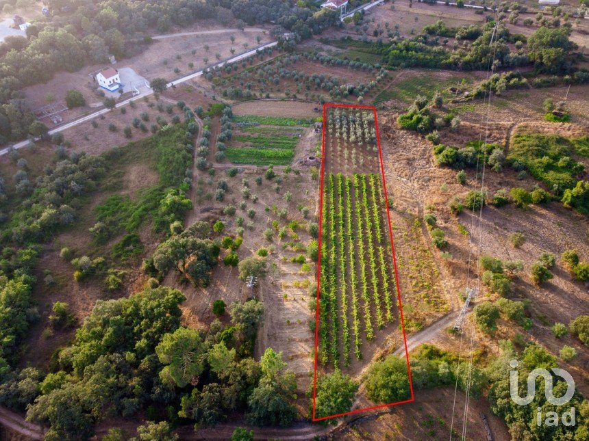 Land in Areias e Pias of 3,000 m²