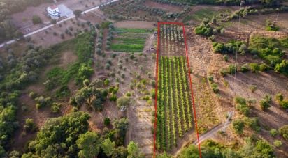 Terrain à Areias e Pias de 3 000 m²