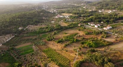 Terrain à Areias e Pias de 3 000 m²
