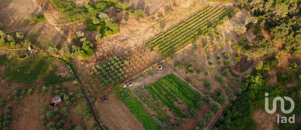 Land in Areias e Pias of 3,000 m²