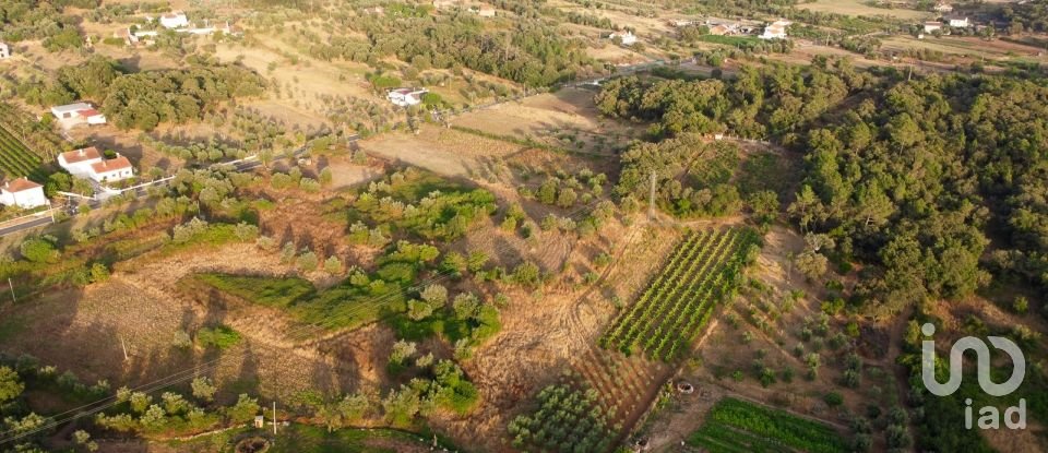 Land in Areias e Pias of 3,000 m²