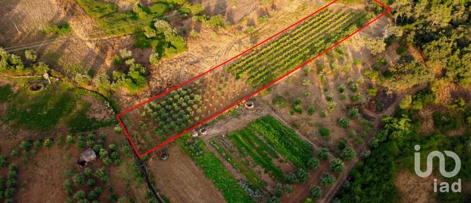 Land in Areias e Pias of 3,000 m²