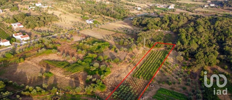 Land in Areias e Pias of 3,000 m²