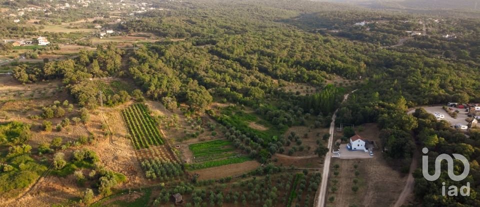 Land in Areias e Pias of 3,000 m²