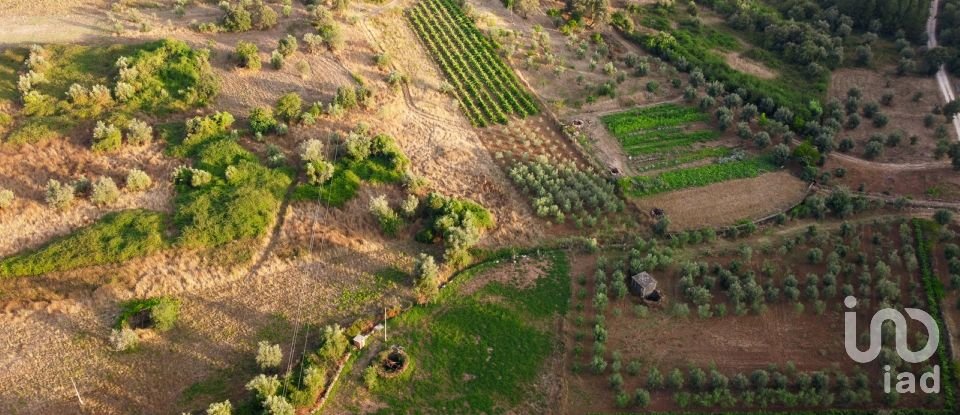 Land in Areias e Pias of 3,000 m²