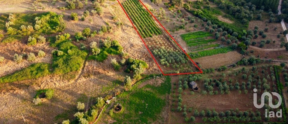 Land in Areias e Pias of 3,000 m²