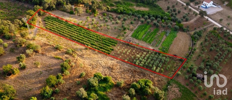 Land in Areias e Pias of 3,000 m²