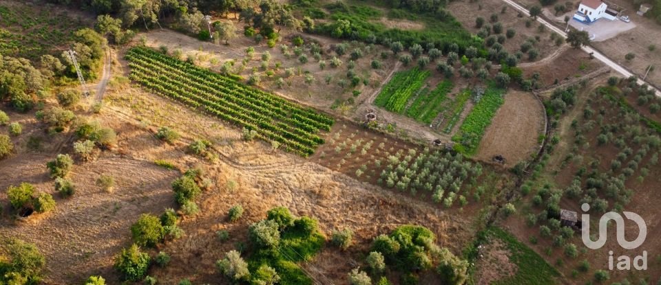 Land in Areias e Pias of 3,000 m²