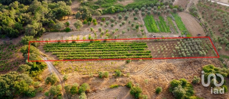 Land in Areias e Pias of 3,000 m²