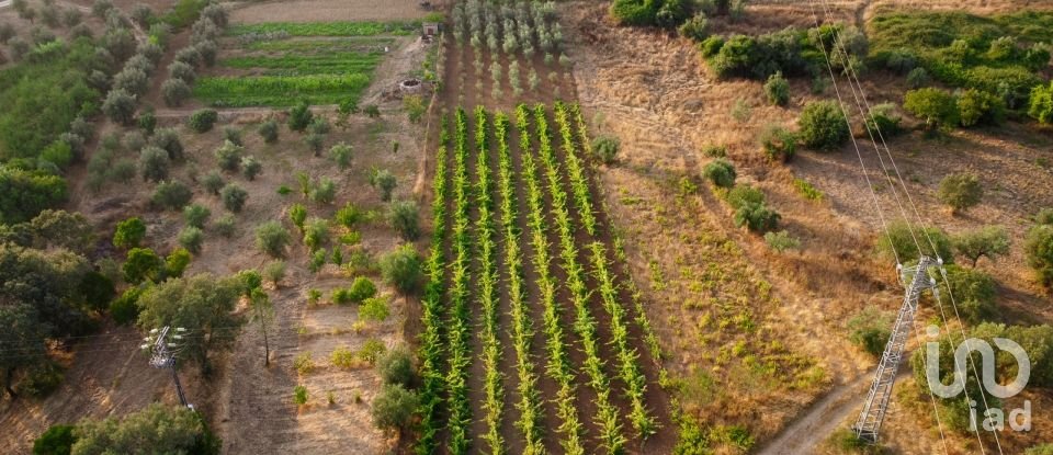 Land in Areias e Pias of 3,000 m²