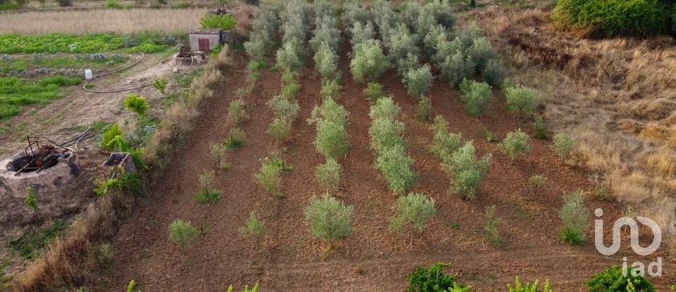 Land in Areias e Pias of 3,000 m²