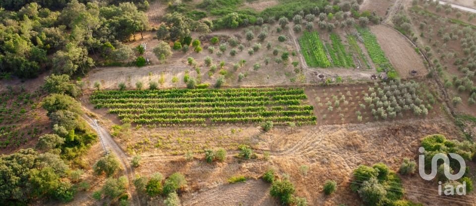 Land in Areias e Pias of 3,000 m²