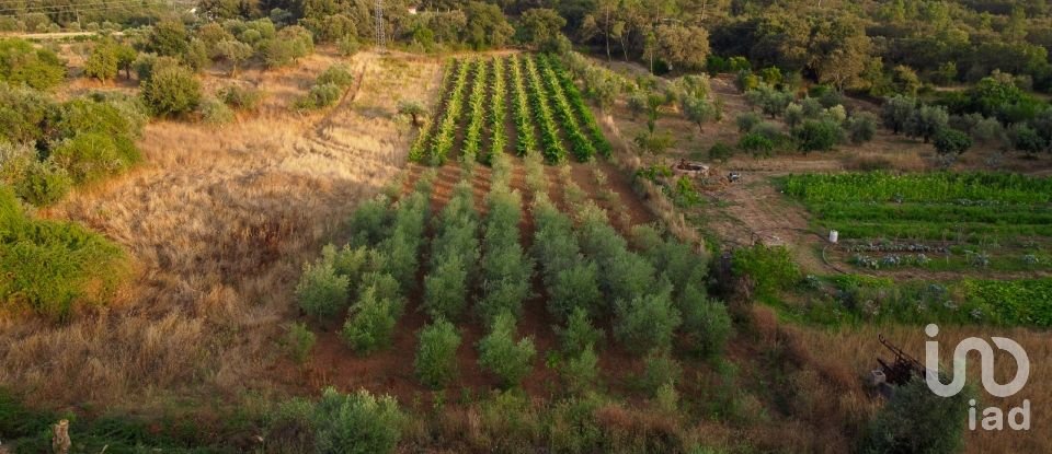 Land in Areias e Pias of 3,000 m²