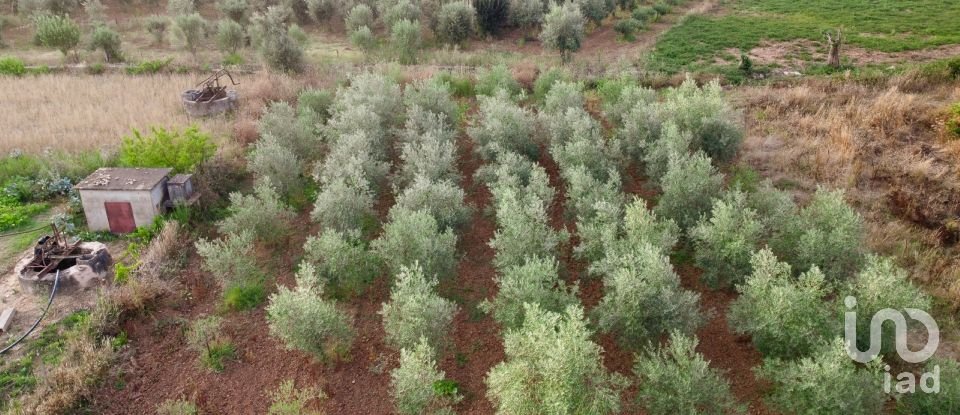 Land in Areias e Pias of 3,000 m²