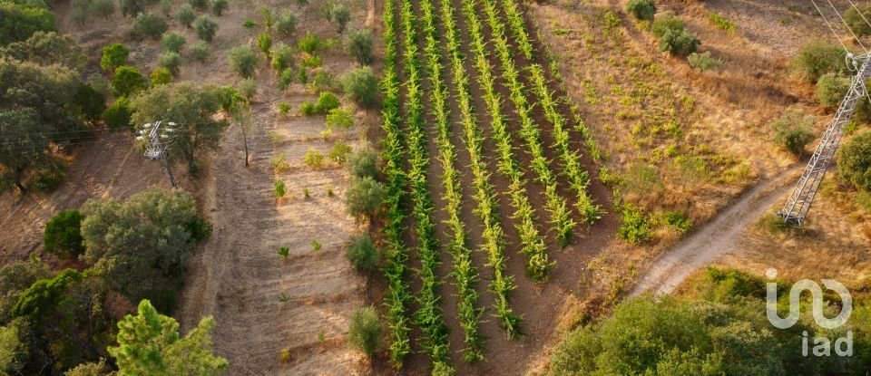 Land in Areias e Pias of 3,000 m²