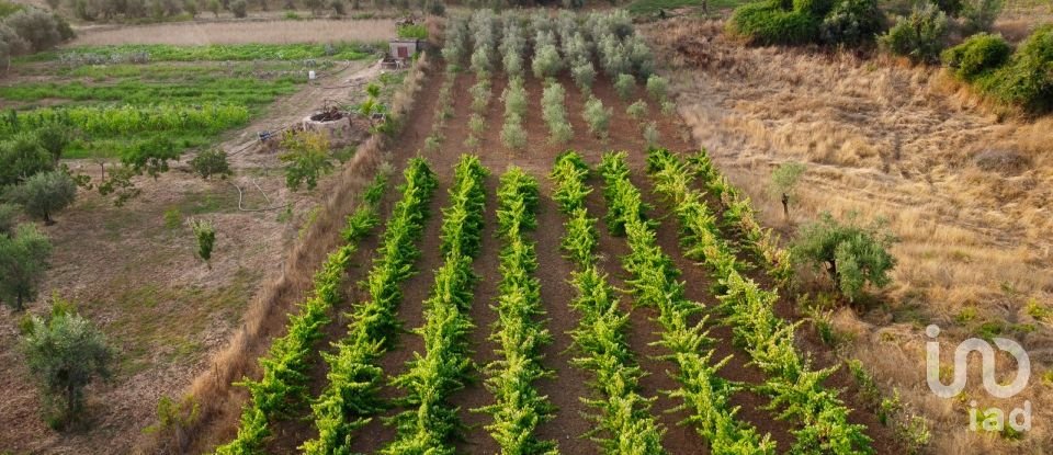 Land in Areias e Pias of 3,000 m²